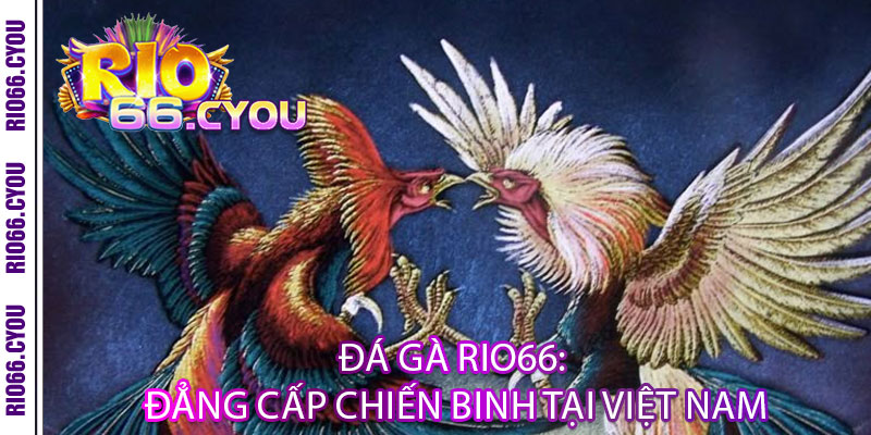 Đá Gà Rio66 - Đẳng cấp chiến binh, thắng lớn rực lửa 2 Đá Gà Rio66: Đẳng Cấp Chiến Binh Tại Việt Nam
